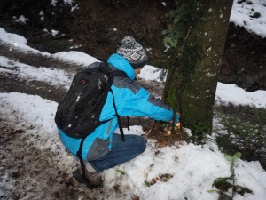 Adventwanderung 2017 - Fotos Martin Holzer