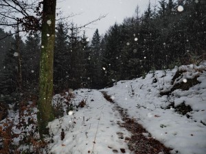 Adventwanderung 2017 - Fotos Martin Holzer