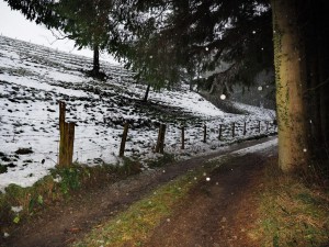 Adventwanderung 2017 - Fotos Martin Holzer