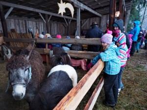 Adventwanderung 2017 - Fotos Martin Holzer