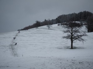 Adventwanderung 2017 - Fotos Martin Holzer