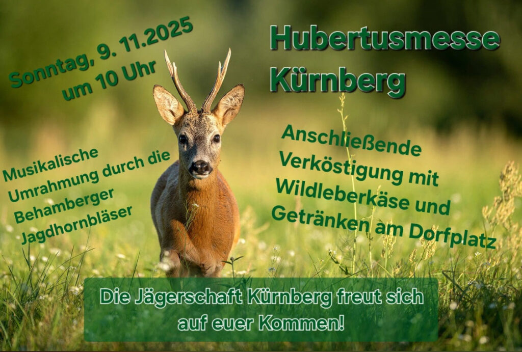 Hubertusmesse in Kürnberg am 9.11.2025, 10 Uhr mit den Behamberger Jagdhornbläsern. Anschließend Verköstigung mit Wildleberkäse und Getränken am Dorfplatz. Die Jägerschaft Kürnberg freut sich auf euer Kommen!